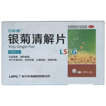 银菊清解片(万年青牌)