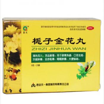 栀子金花丸(秦昆)