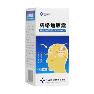脑络通胶囊(邦民制)