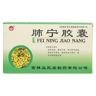 肺宁胶囊价格