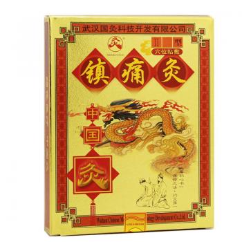 中国灸镇痛灸II型(中国灸)