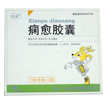 痫愈胶囊(致康)