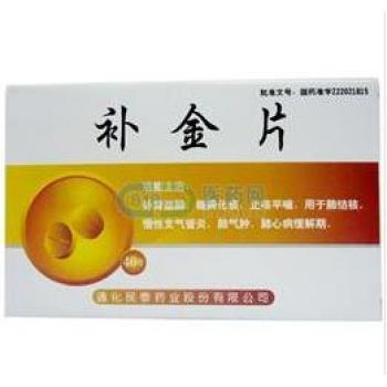 补金片