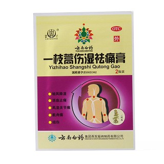 一枝蒿伤湿祛痛膏