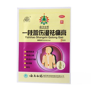 一枝蒿伤湿祛痛膏