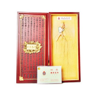 回元固本装 (新硕洲)