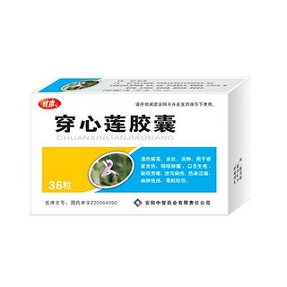 穿心莲胶囊(中智)