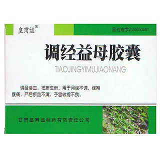 调经益母胶囊(皇甫谧)