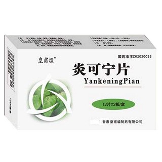 炎可宁片(皇甫谧)