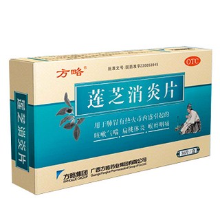 莲芝消炎片(方略)