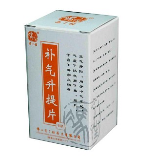 补气升提片(冯了性)