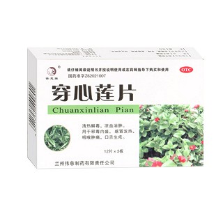 穿心莲片(伟慈)