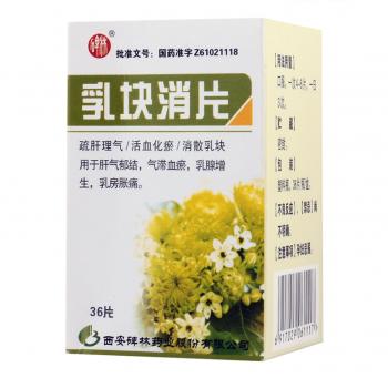 乳块消片(碑林)