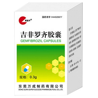吉非罗齐胶囊(万成)