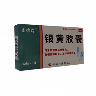 银黄胶囊(兴达)
