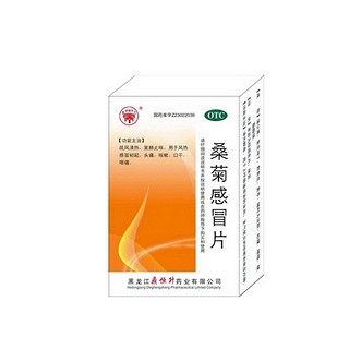 桑菊感冒片(鼎恒升)
