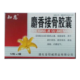 麝香接骨胶囊(金恺威)