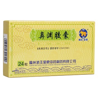 鼻渊胶囊(海王金象中药)