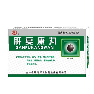 肝复康丸(辉南辉发)