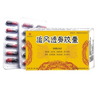 追风透骨胶囊(天地恒一)