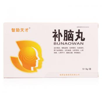 补脑丸(智励天才)