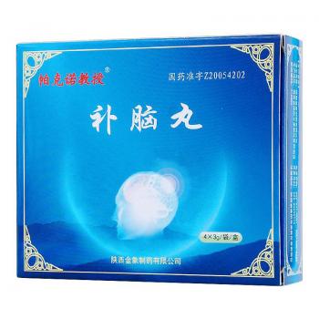 补脑丸(帕克诺教授)