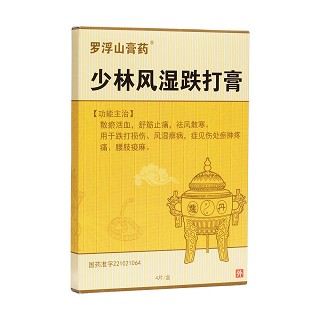 少林风湿跌打膏(九州祥云)