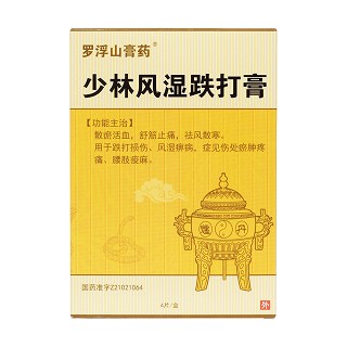 少林风湿跌打膏价格
