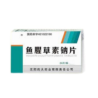 鱼腥草素钠片(药大)
