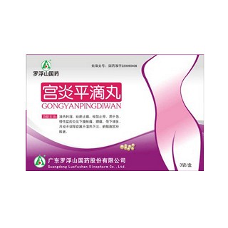 宫炎平滴丸(罗浮山)