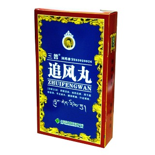 追风丸(三普)