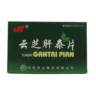 云芝肝泰片(丹东药业)