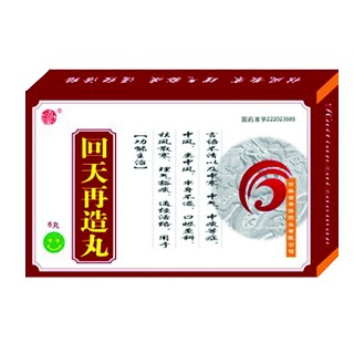回天再造丸(华侨)