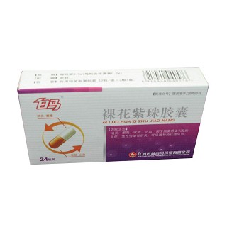 裸花紫珠胶囊(杏林白马)