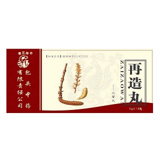 再造丸(包头中药)