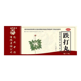 跌打丸(包头中药)