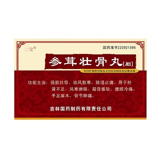 参茸壮骨丸(二宝)
