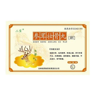 参茸壮骨丸(二宝)