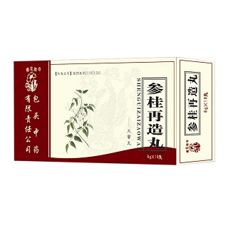 参桂再造丸(包头中药)