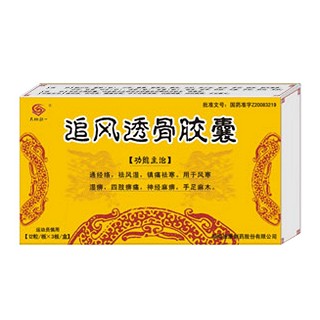 追风透骨胶囊(天地恒一)