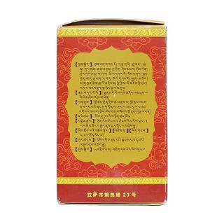 二十五味肺病丸(0.5g*40丸/盒)