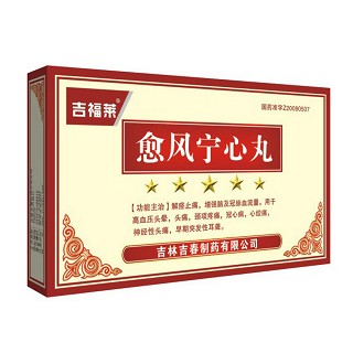 愈风宁心丸(吉福莱)
