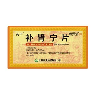 补肾宁片(英平)
