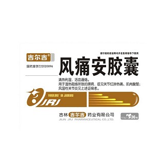 风痛安胶囊(吉尔吉)