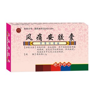 风痛安胶囊(延边朝药)