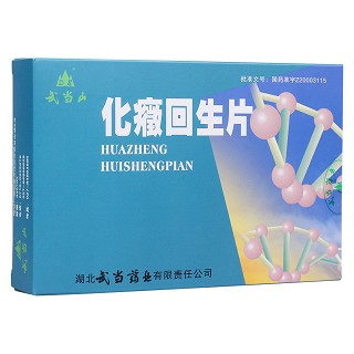 化癥回生片(武当山)