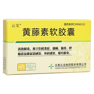 黄藤素软胶囊(云龙)