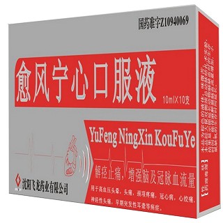愈风宁心口服液(飞龙)