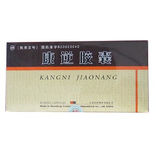 康逆胶囊(孔府)