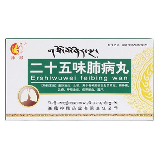 二十五味肺病丸价格